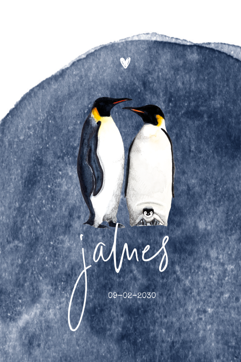 Stoer geboortekaartje met pinguïn gezin
