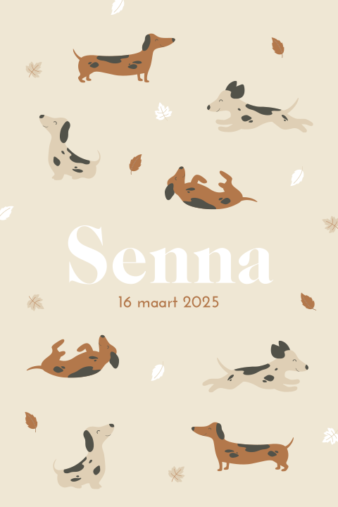 Unisex geboortekaartje met vrolijk spelende teckels