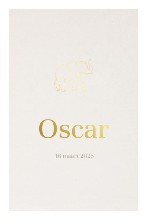 Minimalistisch geboortekaartje zoon kader subtiel goudfolie olifantje