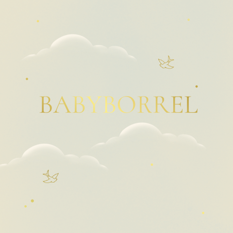 Kraamborrel uitnodiging groen met wolken en vogeltjes