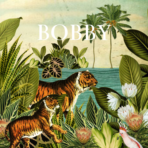 Poster jungle en tijgers