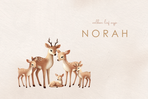 Tuinbord 60-40 met hertengezinnetje voor een broertje of zusje