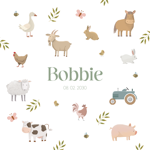 Lief geboortekaartje met boerderijdieren
