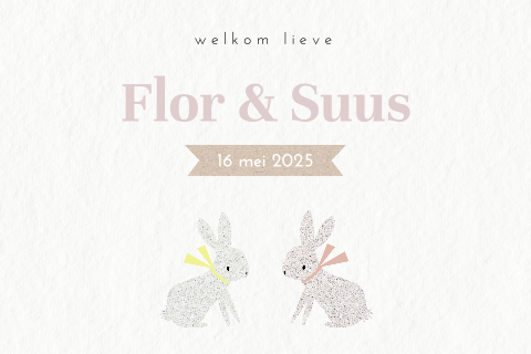 Schattig geboortekaartje voor tweeling meisjes met twee konijnen