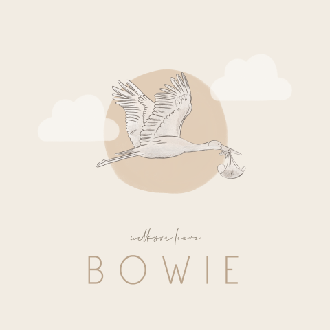 Beige geboortekaartje met illustratie ooievaar en wolkjes