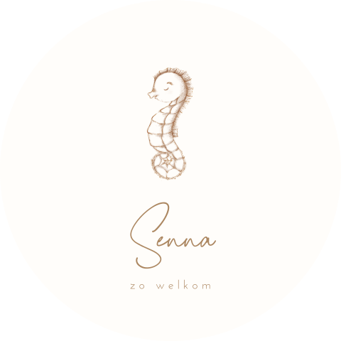 Raamsticker rond met beige illustratie zeepaardje