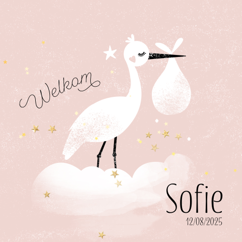 Schattig geboortekaartje met ooievaar op wolk