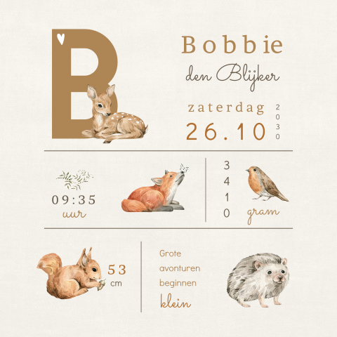 Herfst geboortekaartje met bosdieren en geboortegegevens