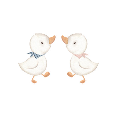 Sluitsticker tweeling met eendjes
