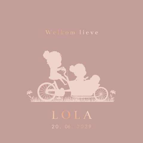 Roségoudfolie geboortekaartje zusje met silhouetjes en bakfiets