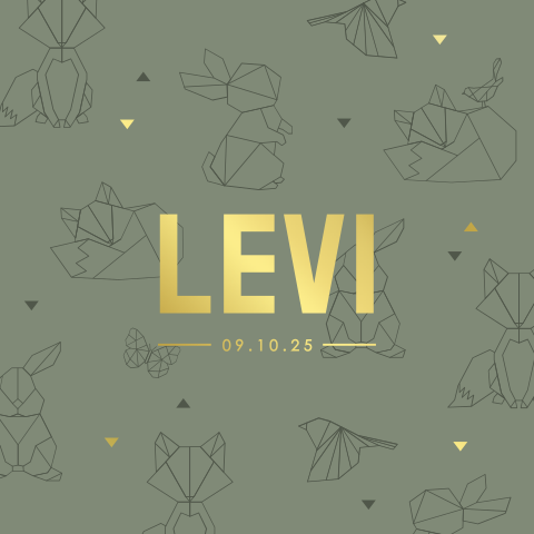 Stoer geboortekaartje geometrische dieren en goudfolie voor een jongen