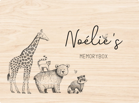Memorybox met getekende dieren
