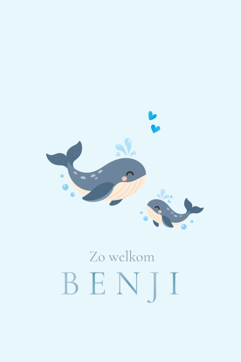 Lief geboortekaartje met getekende walvissen en naam in hoogglans