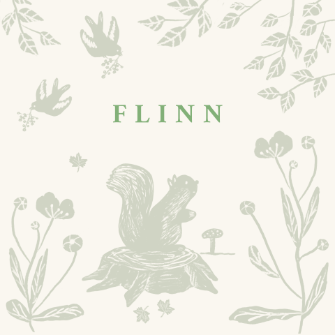 Geboortekaartje met groene illustratie van eekhoorn