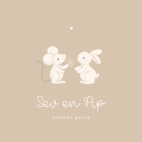 Schattig geboortekaartje met muis en konijn voor een tweeling