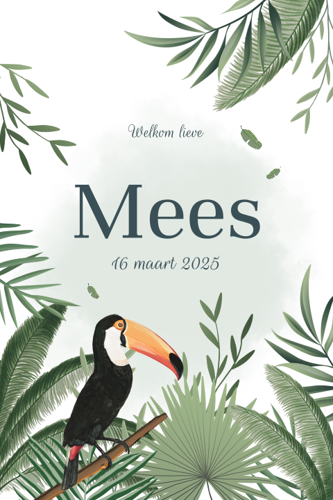 Jungle geboortekaartje met toucan en ronde hoeken voor jongen