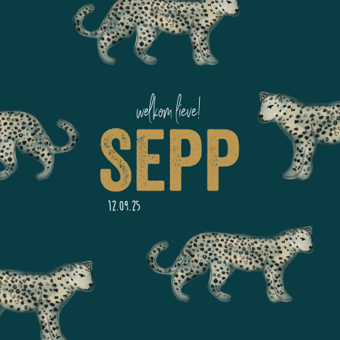 Stoer geboortekaartje met panters