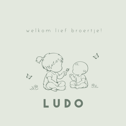Lief geboortekaartje met zus en broertje in lijntekening en vlinders