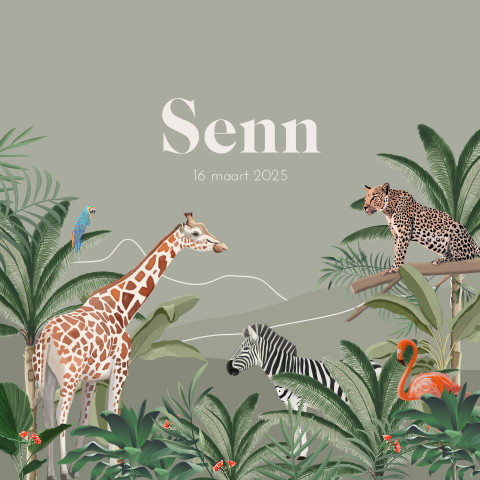 Avontuurlijk babykaartje met jungledieren voor een jongen