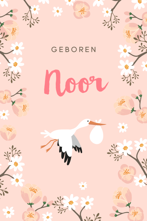 Origineel geboortekaartje ooievaar