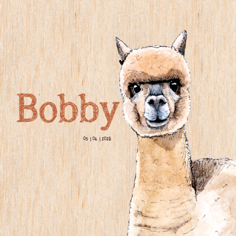 Echt houten geboortekaart met alpaca