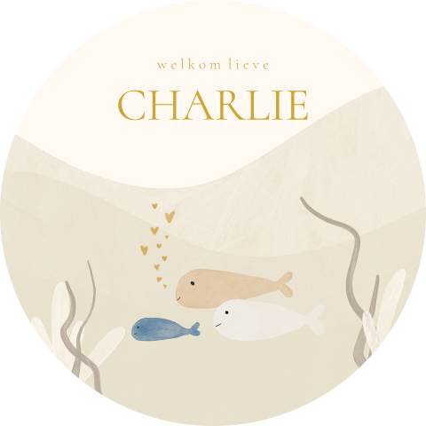 Raamsticker onderwaterwereld met vissen