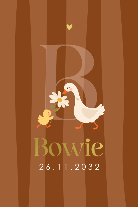 Schattig geboortekaartje met kuiken, madelief en gans