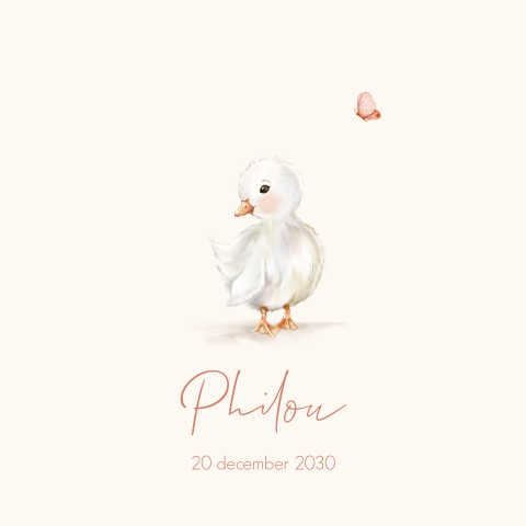 Lief geboortekaartje meisje met eendje en vlinder