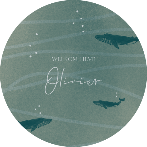 Raamsticker rond met onderwaterwereld thema en walvissen
