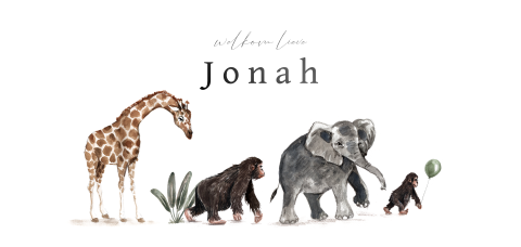 Zwart folie geboortekaartje met giraf, olifant en aapjes in optocht