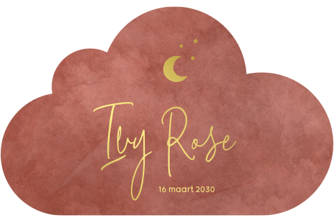 Bijzonder babykaartje in de vorm van een wolk met goudfolie en velvet