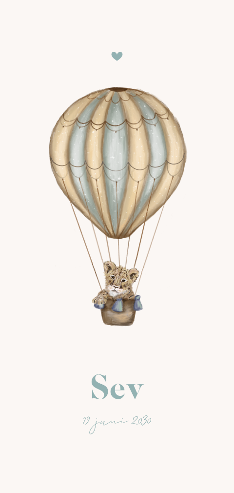 Lief geboortekaartje met tijgertje in luchtballon