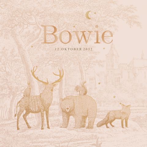 Geboortekaartje met pentekening van bosdieren