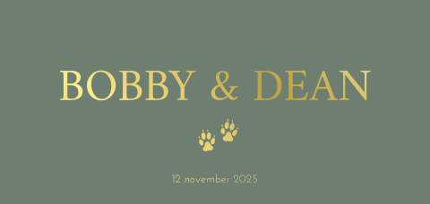 Stoer geboortekaartje voor tweeling jongens met goudfolie dieren poten