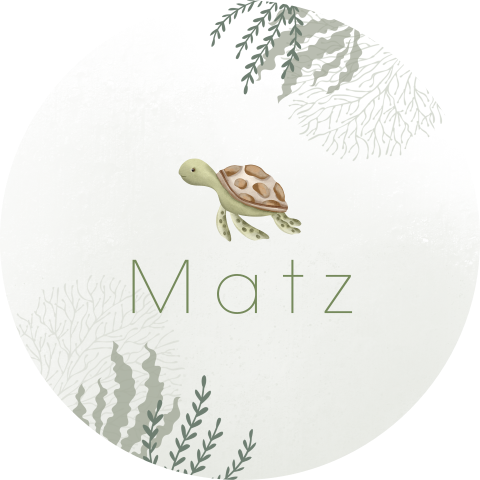 Lichtgroene raamsticker met zeeschildpad en zeeplanten