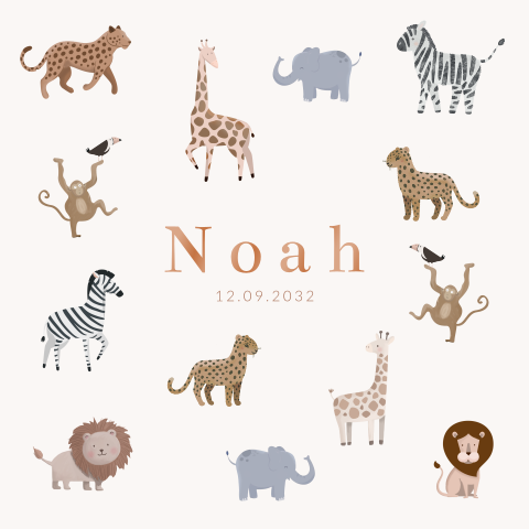 Vrolijk geboortekaartje met junglediertjes 