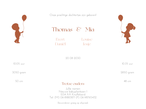 Tweeling geboortekaartje met theatervouw en silhouetten van tweeling
