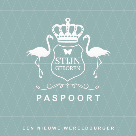 Geboortekaartje paspoort voor jongen