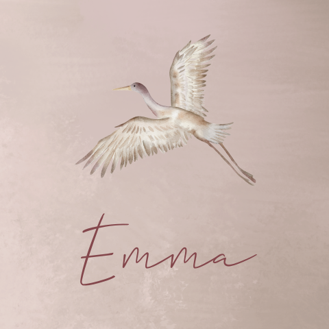 Lief geboortekaartje in aardetinten met getekende kraanvogel