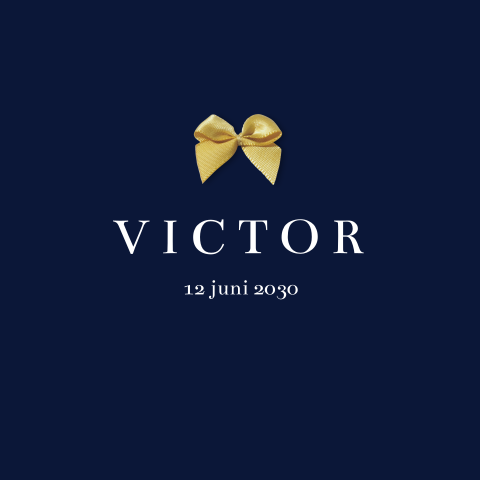 Klassiek donkerblauw geboortekaartje met optioneel écht strikje