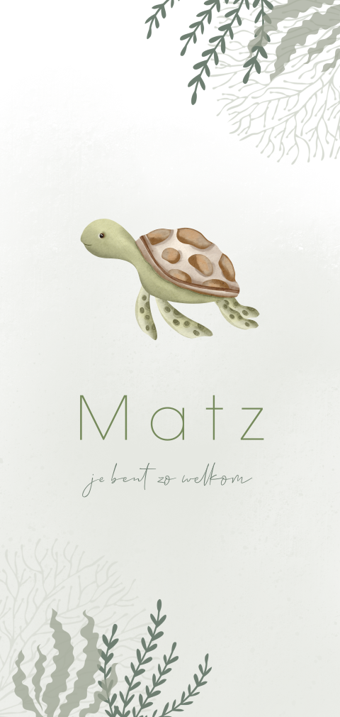 Lief geboortekaartje met illustratie van zeeschildpadje en zeeplanten
