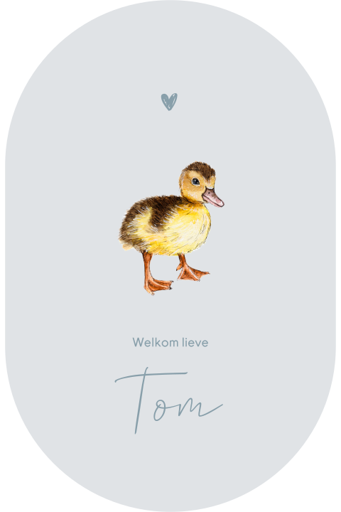 Ovaal geboortekaartje met eendje voor een jongen