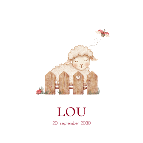 Unisex vierkant geboortekaartje met wit schaapje en lieveheersbeestje