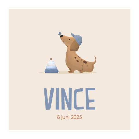 Vrolijk geboortekaartje jongen met teckel en vlindertje