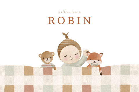 Raamsticker met baby en knuffels