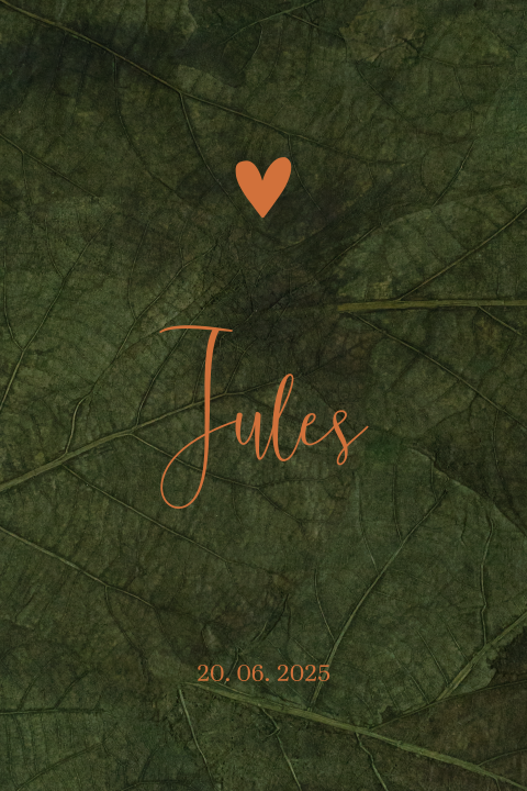 Stoer babykaartje met bladeren en hartje voor een jongen