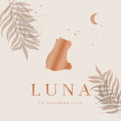 Lief geboortekaartje voor een meisje met hoogglans beer en maantje