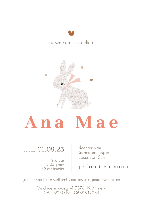 Lief geboortekaartje meisje met konijn