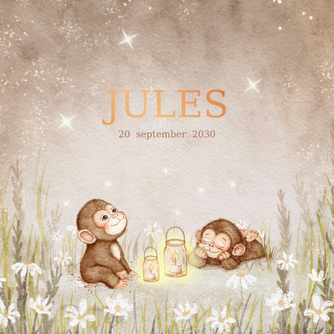 Lief geboortekaartje dromerig met aquacolour aapjes en koperfolie