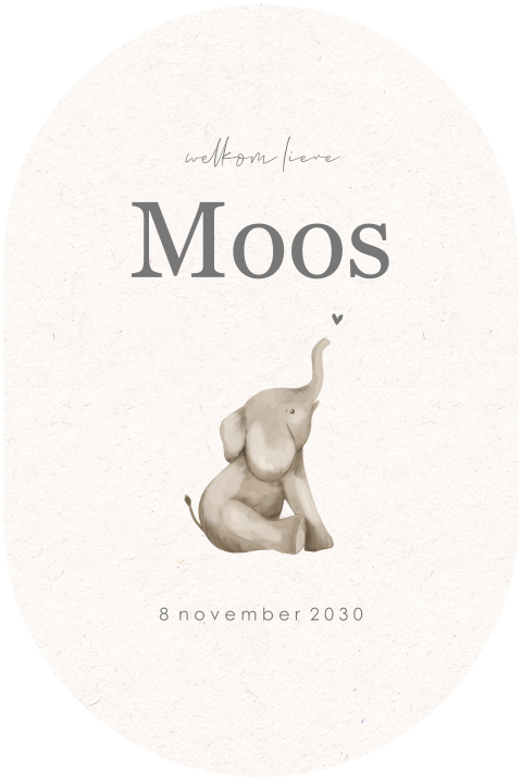 Ovaal geboortekaartje met illustratie olifantje